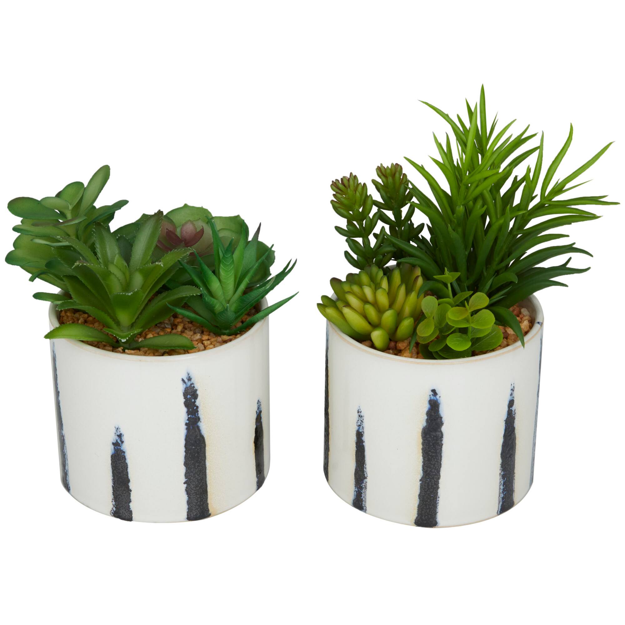 Green Faux Foliage Succulent in Patterned Porcelain Pot Set